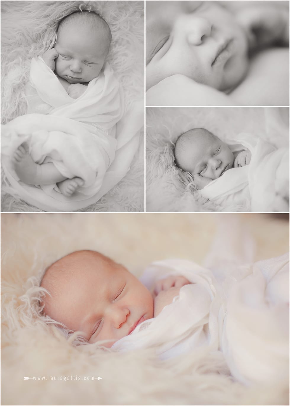 newborn photography | laura gattis photography | www.lauragattis.com
