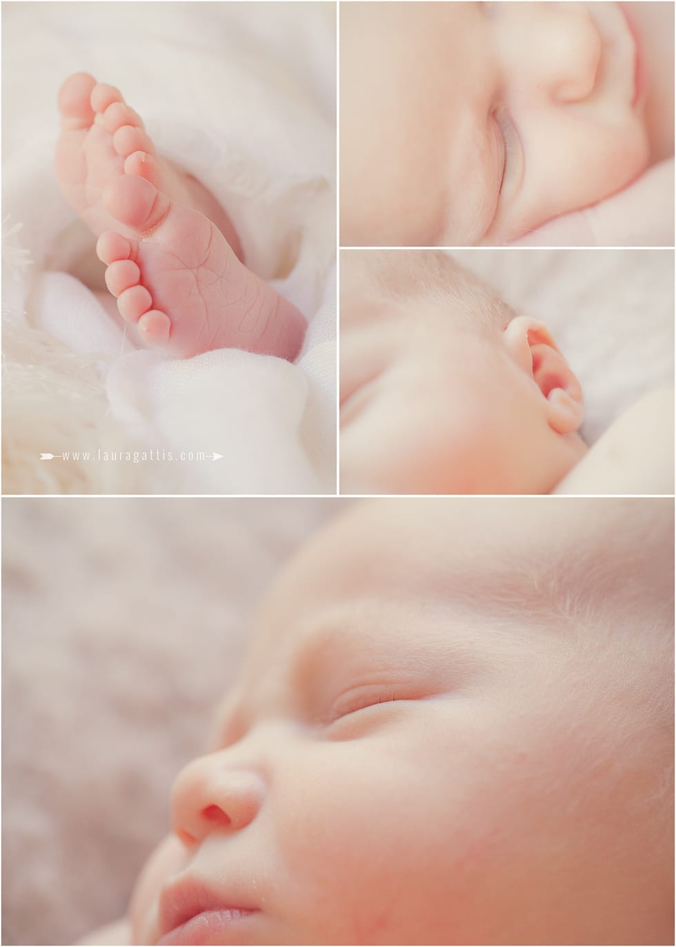 newborn photography | laura gattis photography | www.lauragattis.com