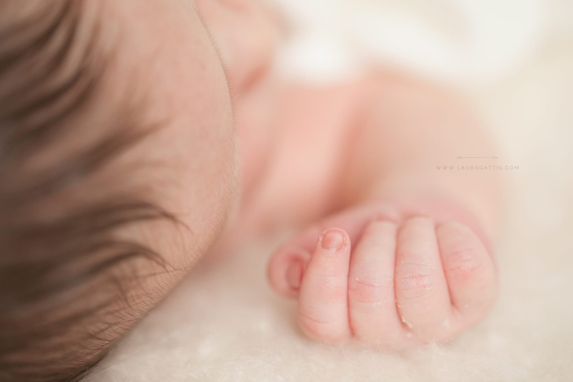 natural light newborn | laura gattis photography