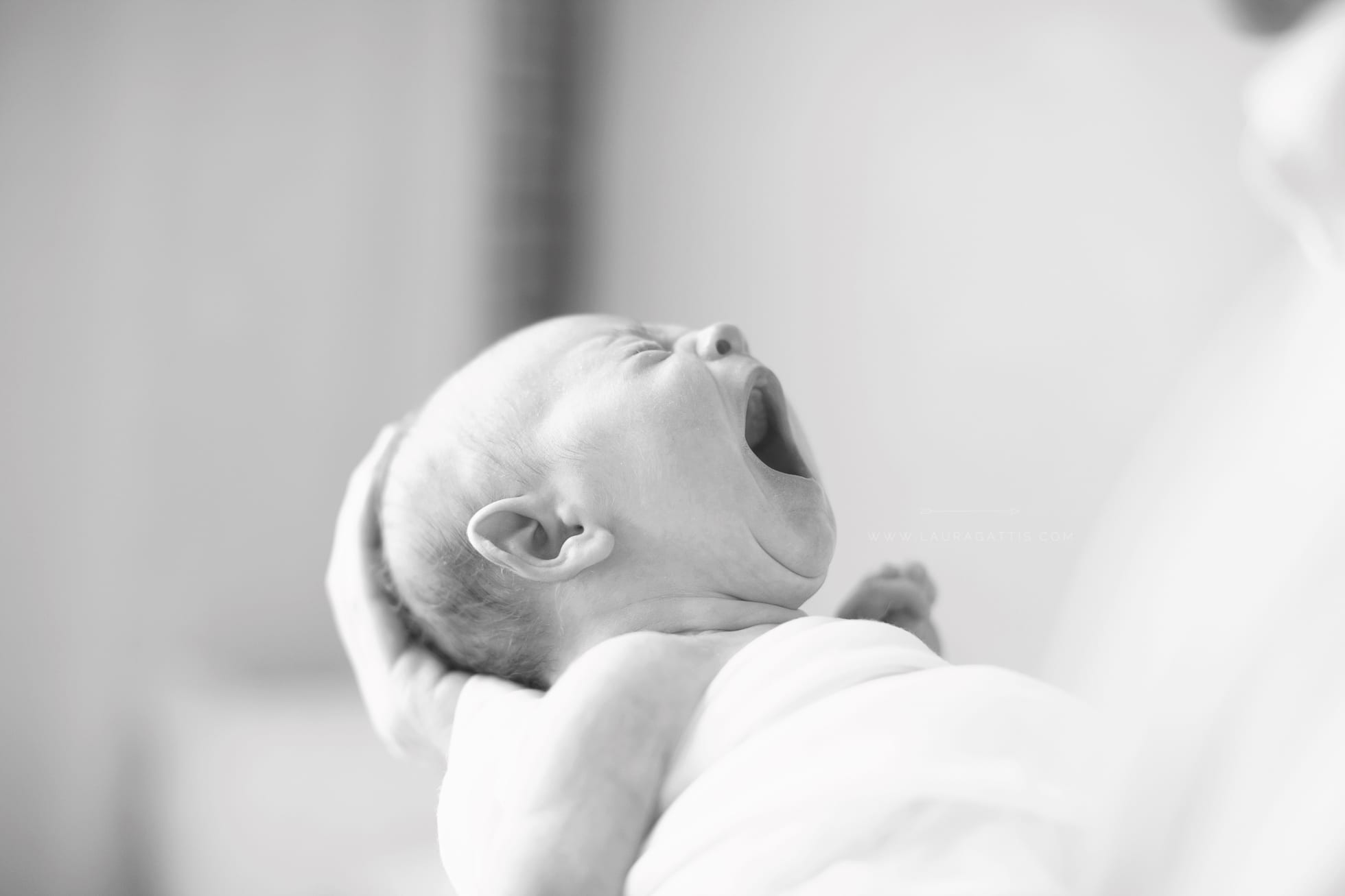newborn, simple details, natural light studio photography | laura gattis photography