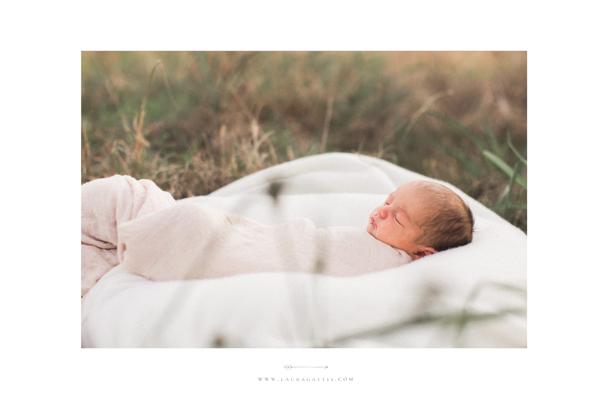 tampa newborn photography natural light field 